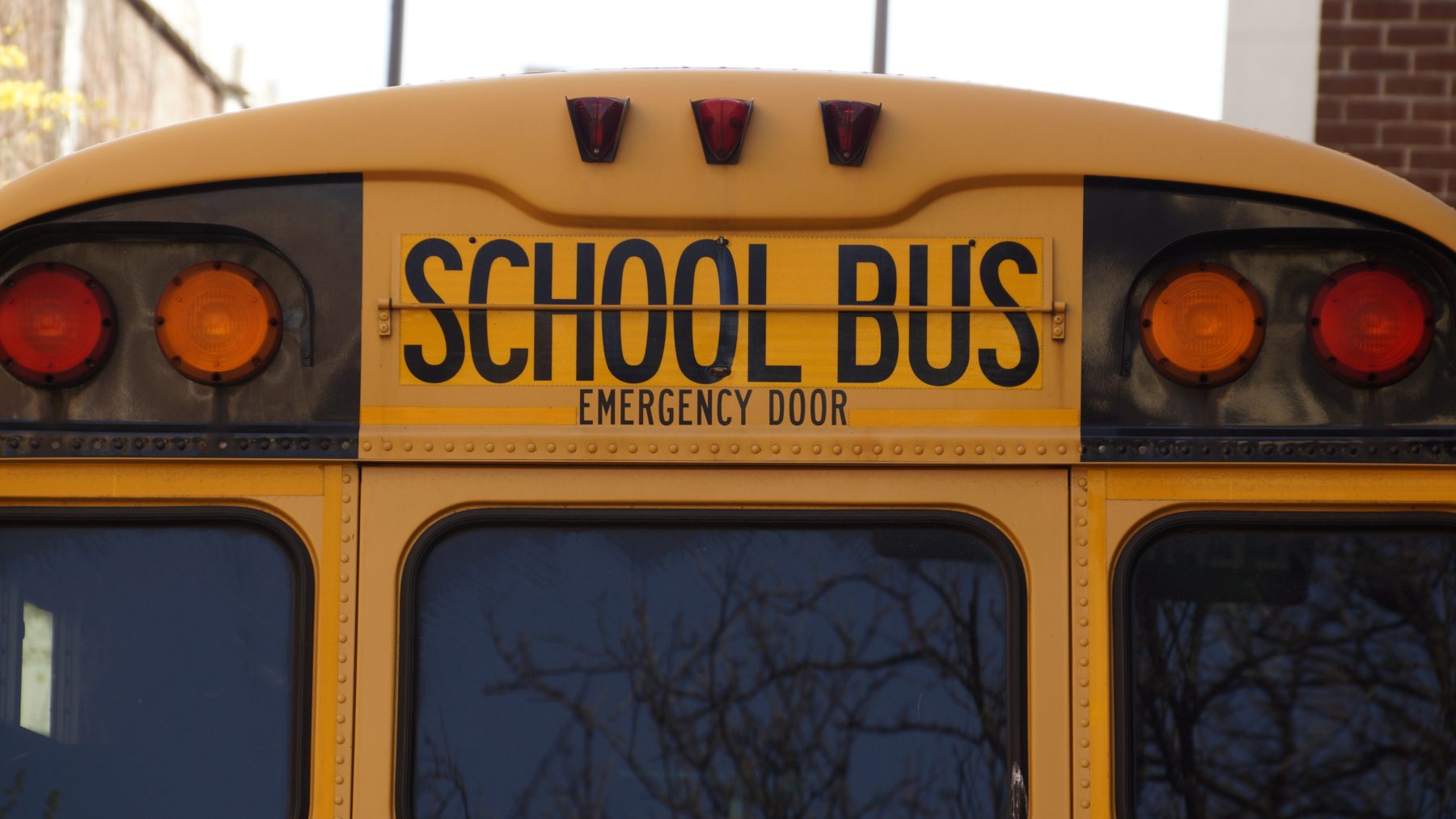 Read more about the article School Bus Safety