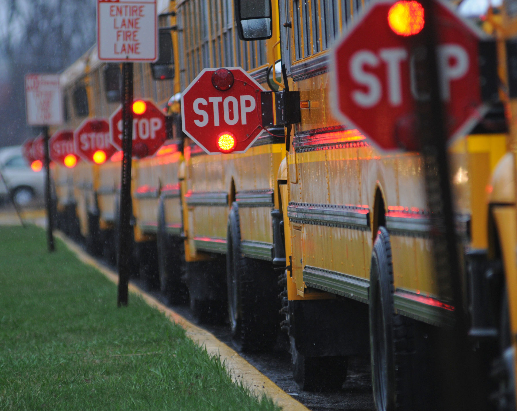 Read more about the article Marjory Stoneman Douglas High School Shooting