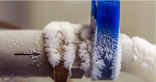 freeze image